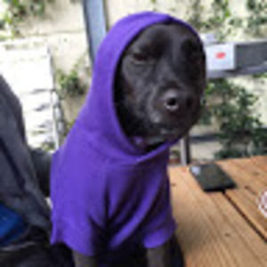 Meet your Posher, Brittany